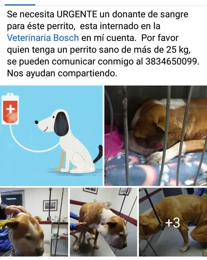 Una pareja de pastores fue condenada por abusar de una feligresa