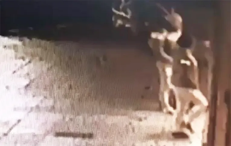 Una periodista trasmitía en vivo cuando un misil destruyó un edificio