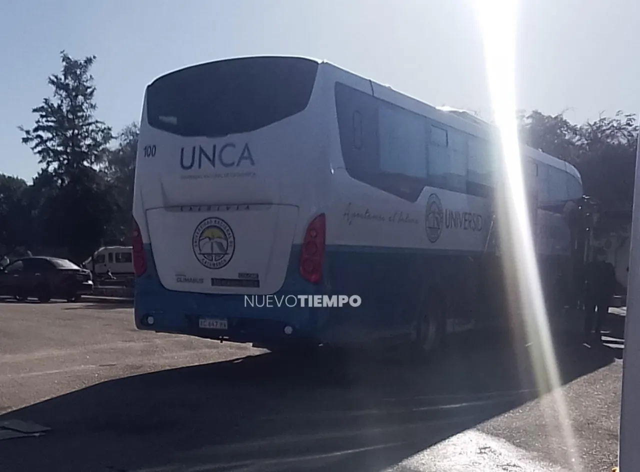 Una provincia creó un "registro de maltratadores" y protege a las mascotas por ley
