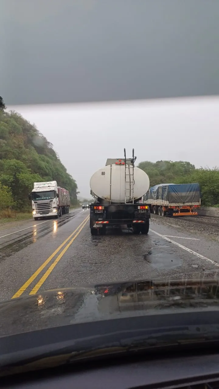 Una rama dejó sin luz al Departamento Andalgalá