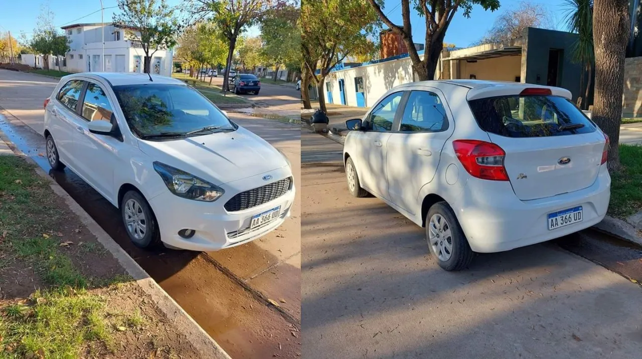Vacaciones de invierno: todo lo que hay que saber antes de llevar a tu mascota de viaje