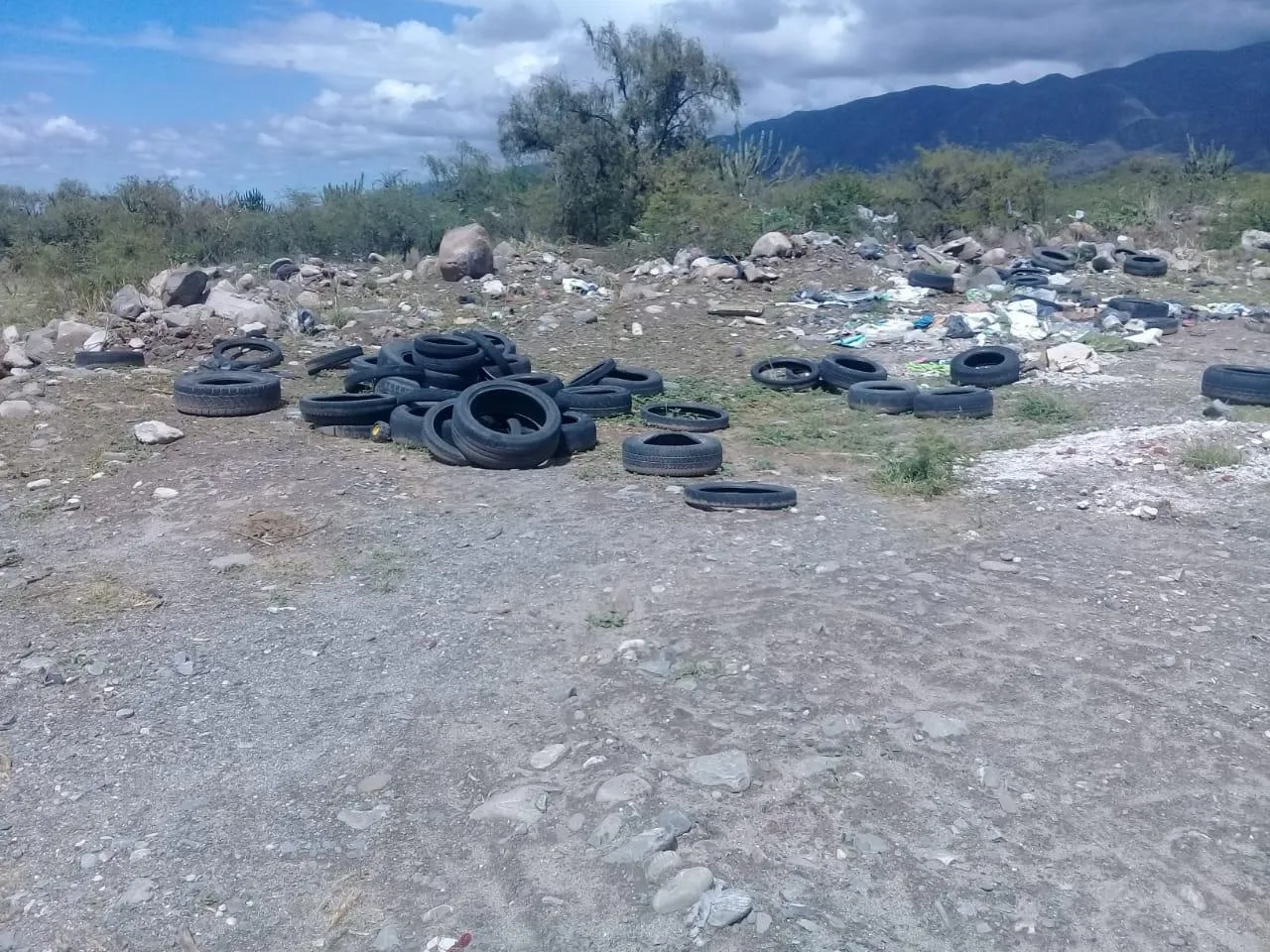 “Vamos a peregrinar hasta donde nos dejen”