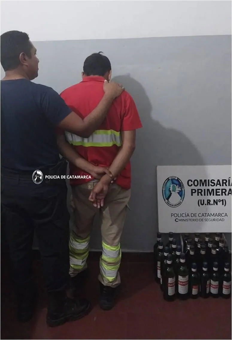 Variedad de milanesas