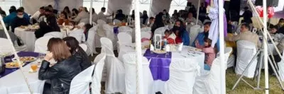 Video: apareció un mono en Mendoza, trepó a los cables y lamentablemente todo terminó de la peor manera