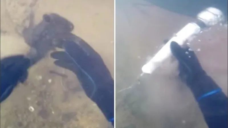 Video: denunciaron penalmente a un grupo de hombres por cazar pumas