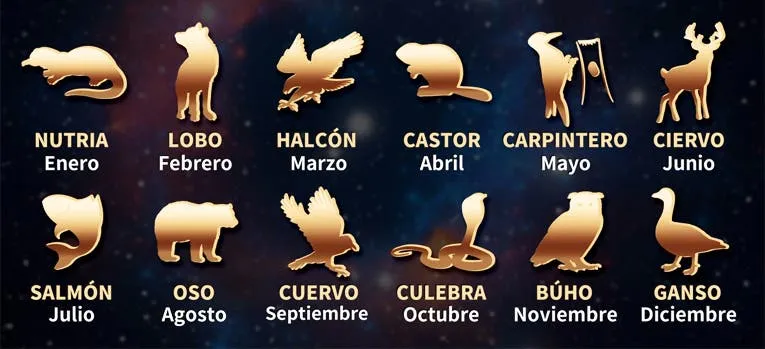 Videos del cohete chino horas antes de que cayera
