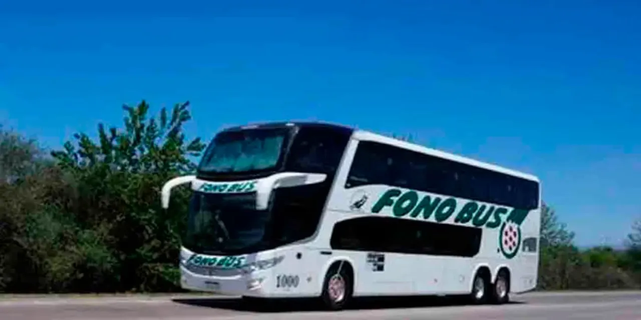 Vive entre pumas y ellos la eligieron como su líder