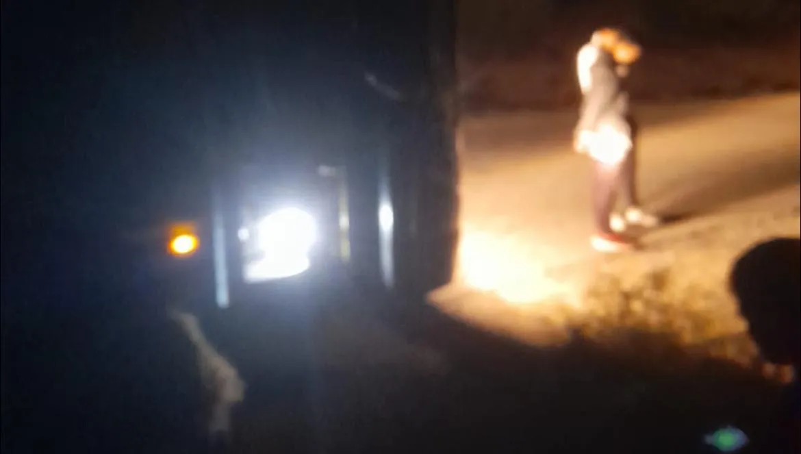 Volcó un acoplado y los vecinos se llevaron los fiambres que transportaba: video