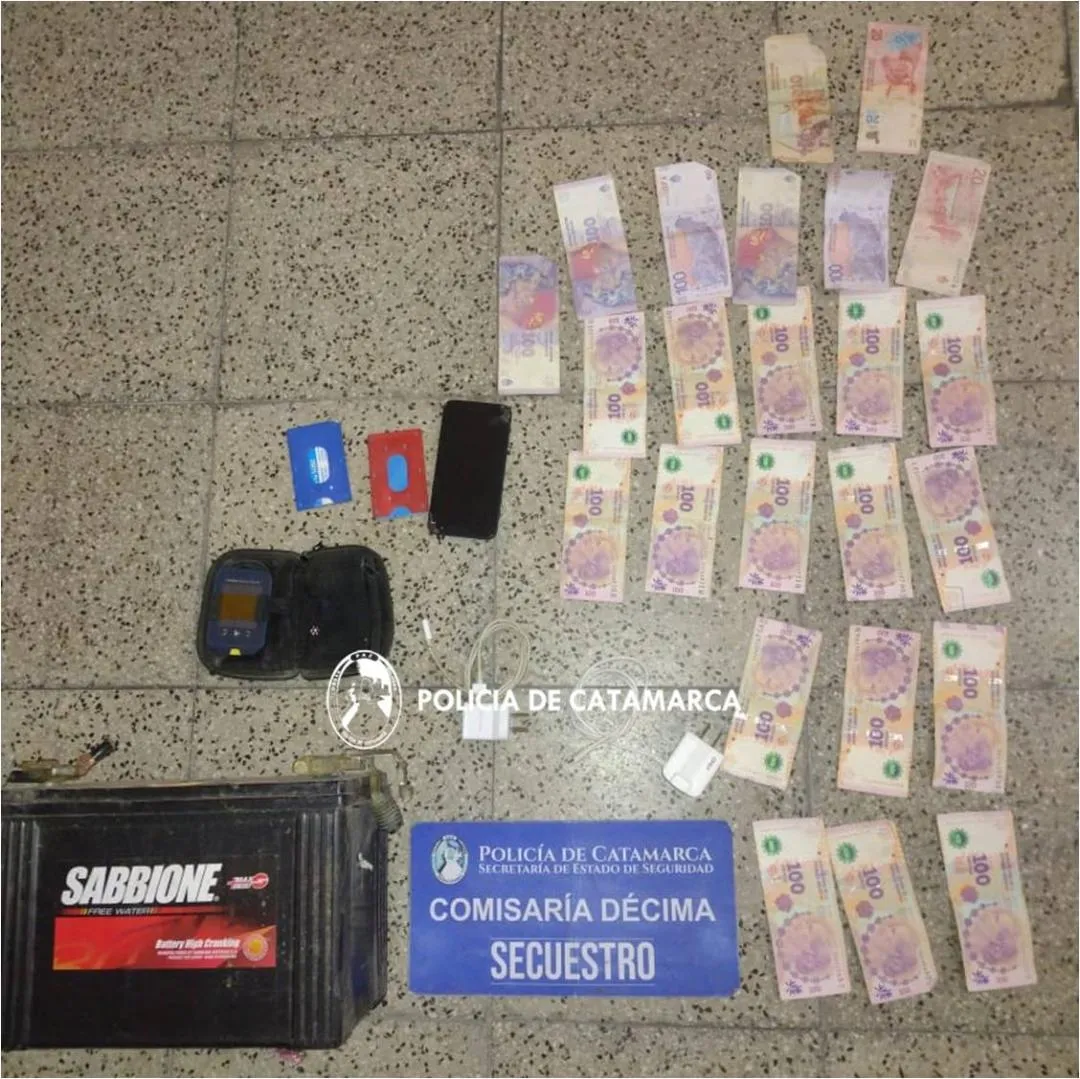 Volcó un camión con cerdos y los vecinos lo saquearon