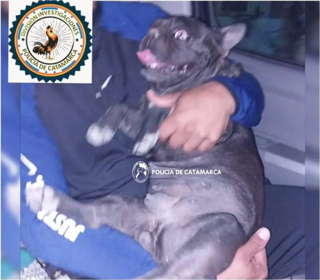 Volcó un camión que transportaba cajas de vino