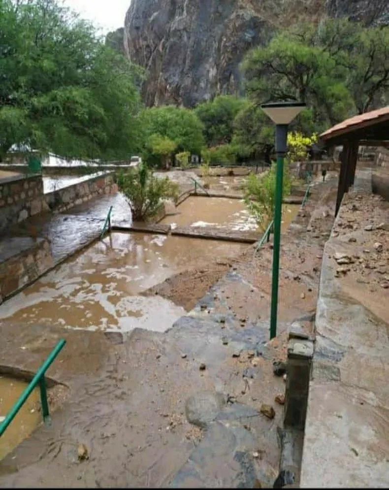 Volvió a romper el termómetro: nuevas fotos al rojo vivo de la exconcejal
