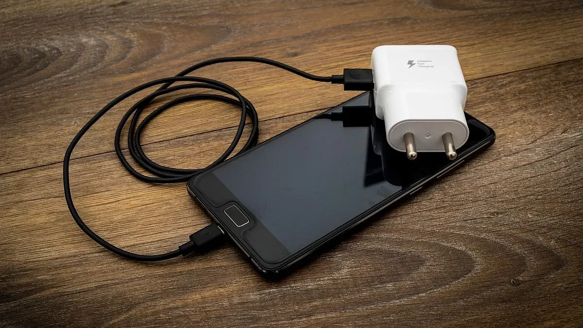 Wanda Nara mostró lo que hizo con sus perros antes de que Mauro Icardi busque a sus dos hijas