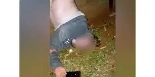 WhatsApp: los trucos “ocultos” que pueden facilitarte la vida