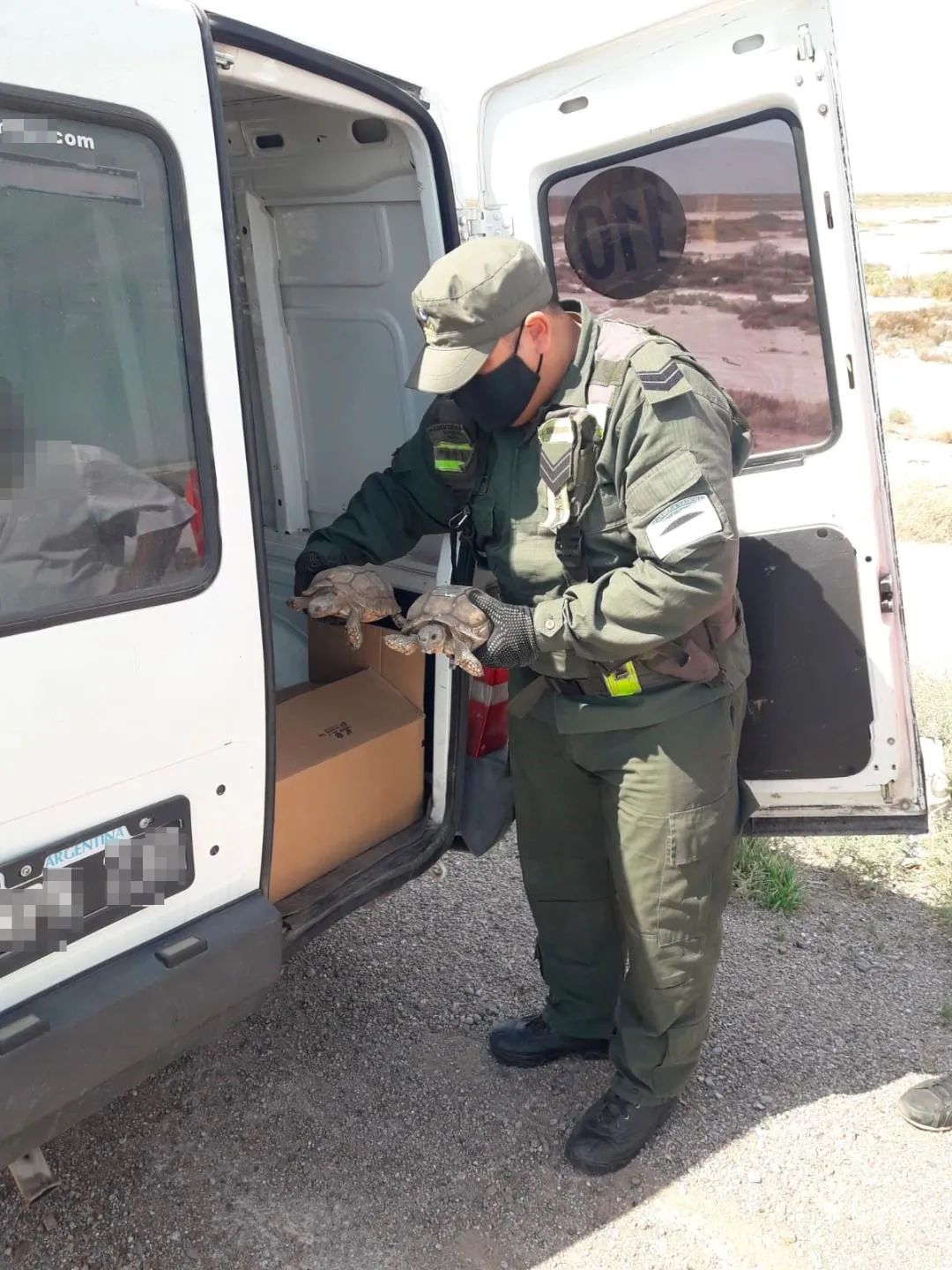 Ya son 28 las personas fallecidas por la ola de frío que azota a Estados Unidos