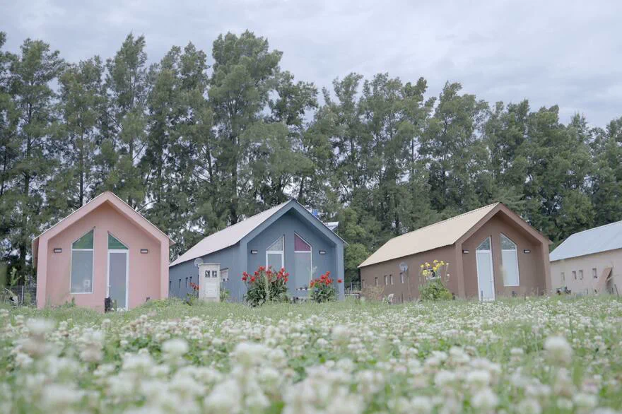 Casitas de varios colores con techos a dos aguas se alinean detrás de un campo de flores silvestres.