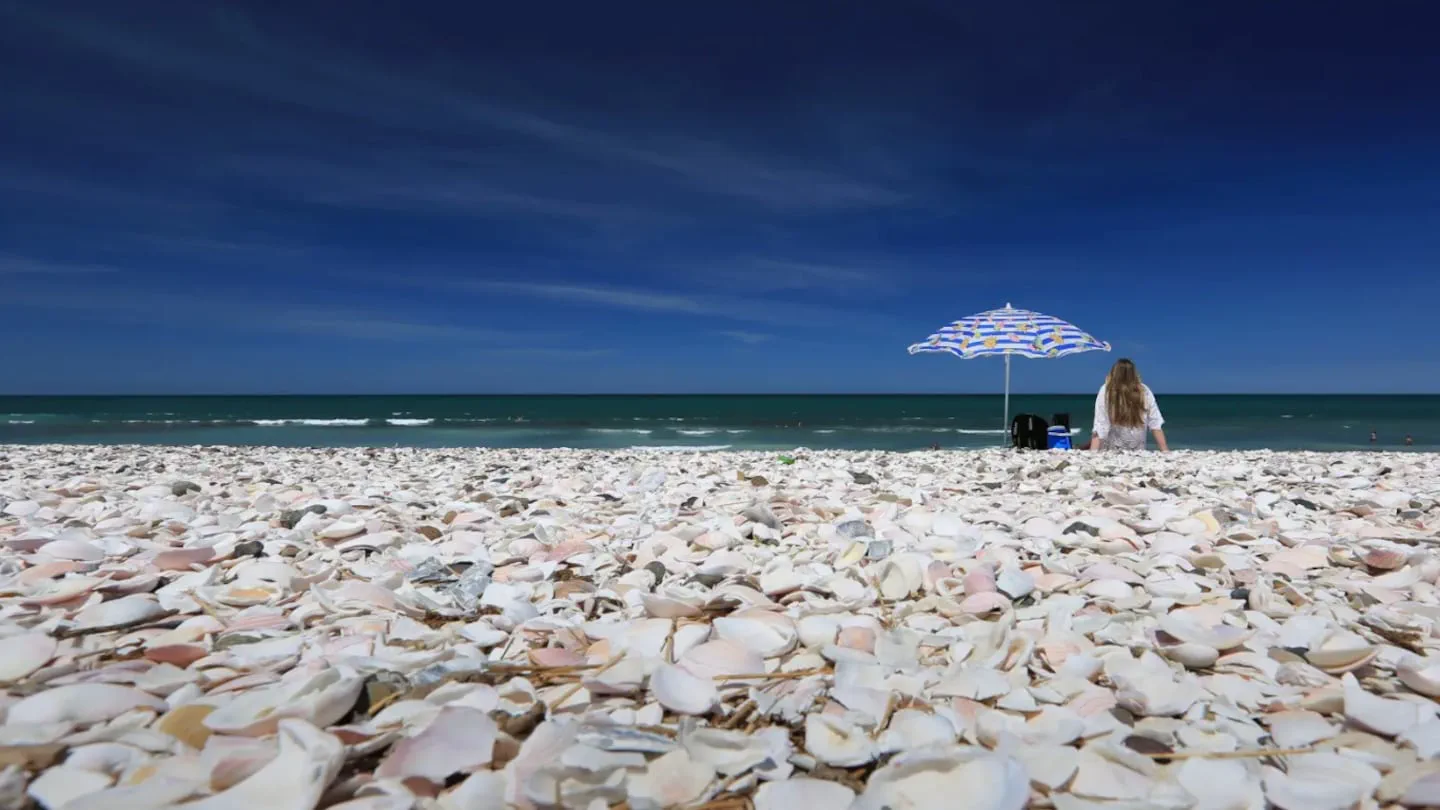 Una persona está sentada junto a una sombrilla abierta sobre una playa repleta de caracoles blancos frente al mar.