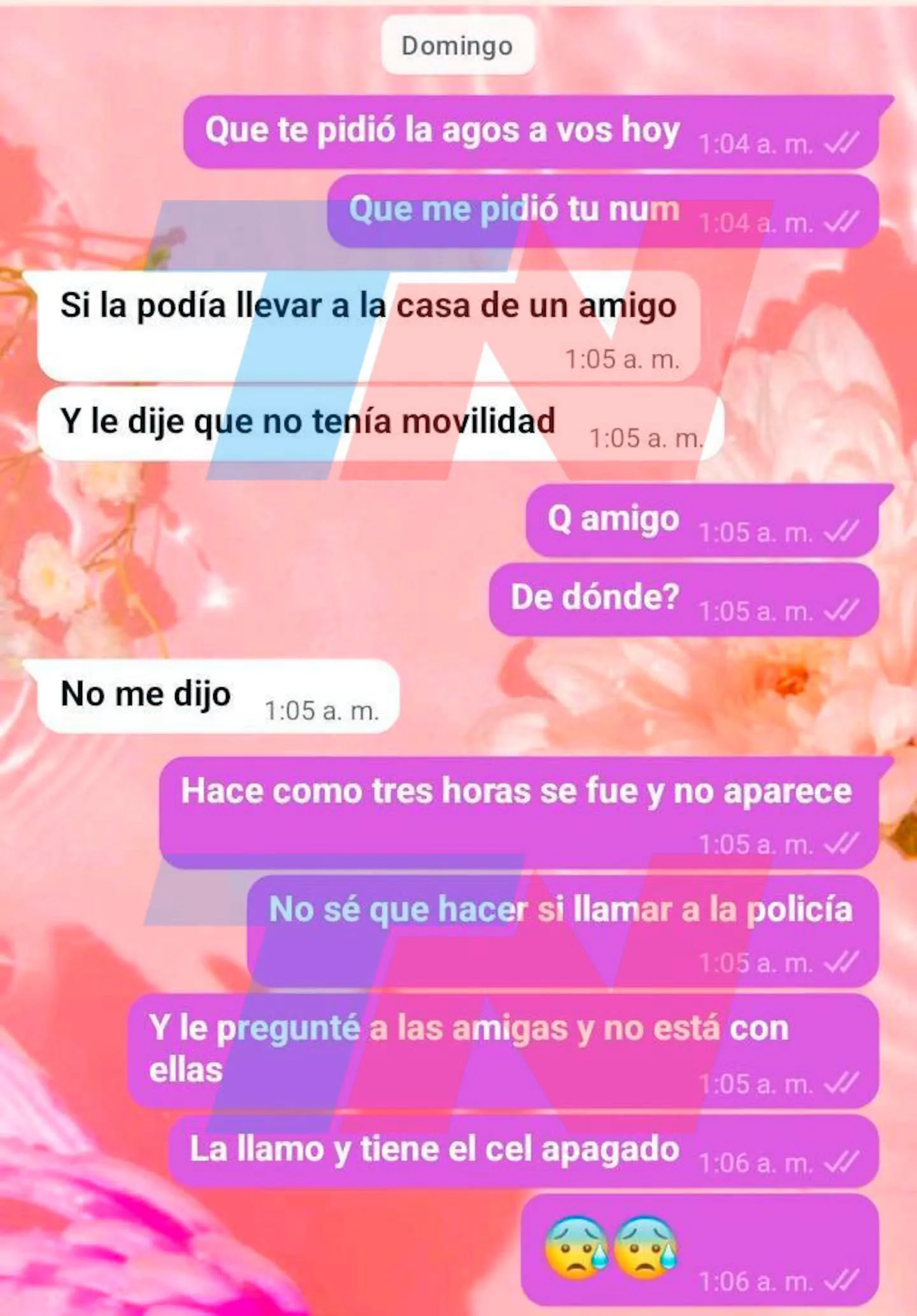 Captura de pantalla de una conversación de mensajería con mensajes sobre un fondo floreado.