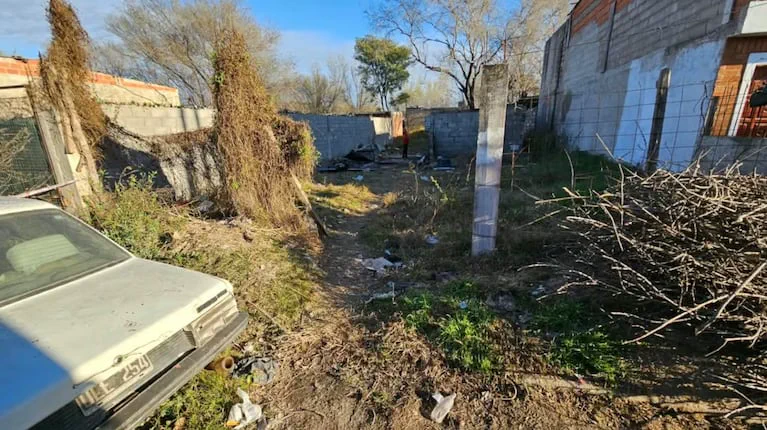 Un auto viejo estacionado en un terreno baldío con pastizales secos, ramas y muros de bloques al fondo.