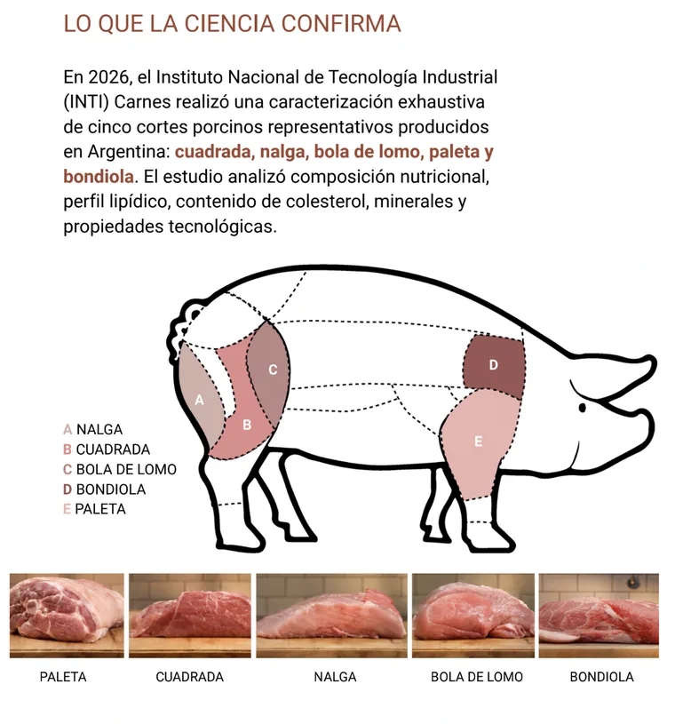 Un infograma muestra el esquema del despiece de un cerdo y fotos de cinco cortes de carne cruda sobre madera.