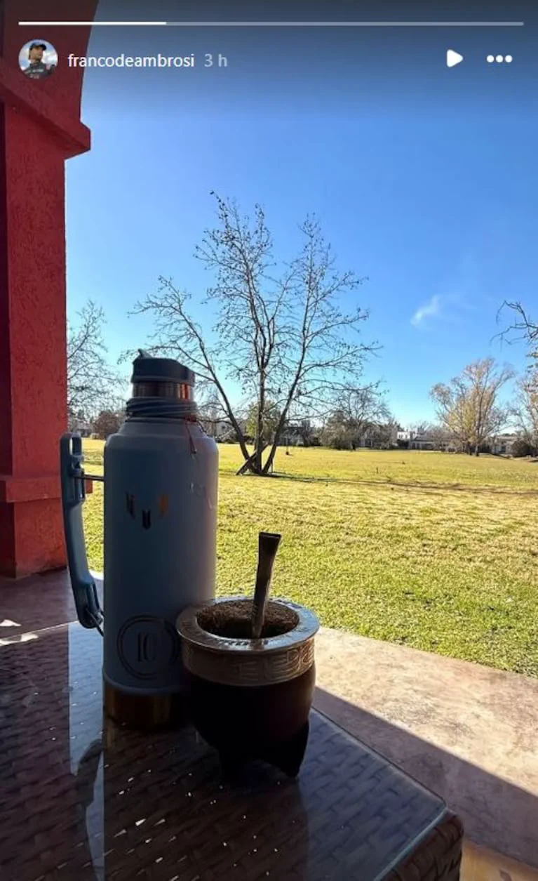 Un mate con bombilla y un termo apoyados sobre una mesa frente a un parque con arboles.