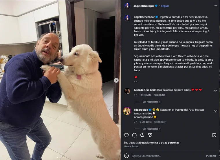 Captura de Instagram donde Baby Etchecopar sostiene las patas de un perro blanco parado en dos patas en una cocina.