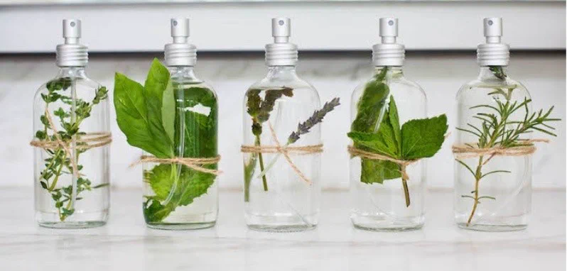 Cinco frascos de vidrio con pulverizador y atados con hilo contienen agua y distintas ramas aromáticas.
