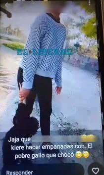 Indignación y alarma social por presuntos casos de maltrato animal