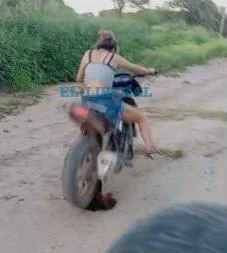 Indignación y alarma social por presuntos casos de maltrato animal