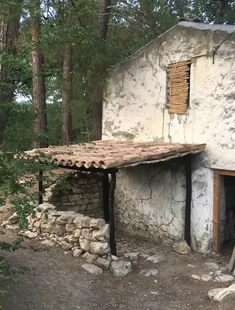 Un alero con techo de tejas y pared de piedras se apoya contra una construccion rural agrietada en el bosque.