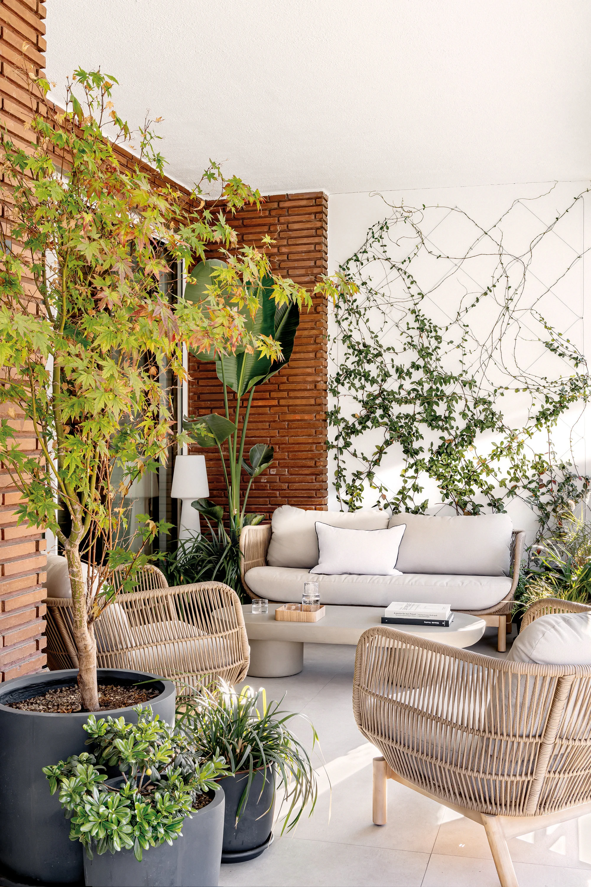 Una terraza amueblada con sillones de mimbre, un juego de living, plantas en macetas y una enredadera en la pared.