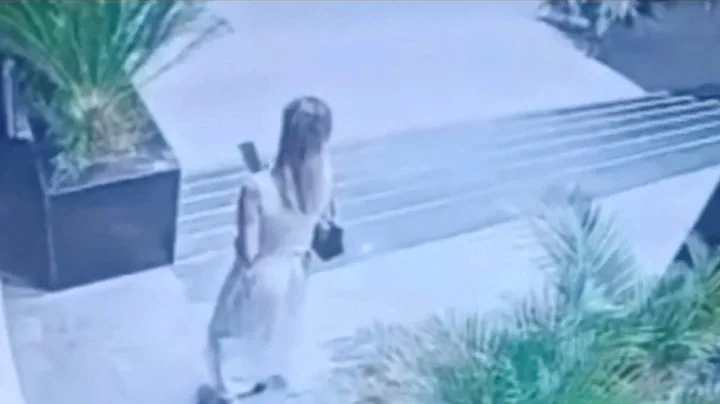 Una mujer con vestido claro y bolso baja unas escaleras junto a plantas, captada por una cámara de seguridad.