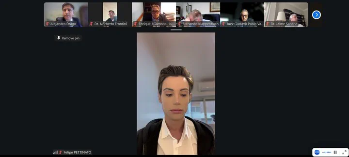Felipe Pettinato participa en una audiencia virtual judicial por videollamada con varios magistrados y letrados.