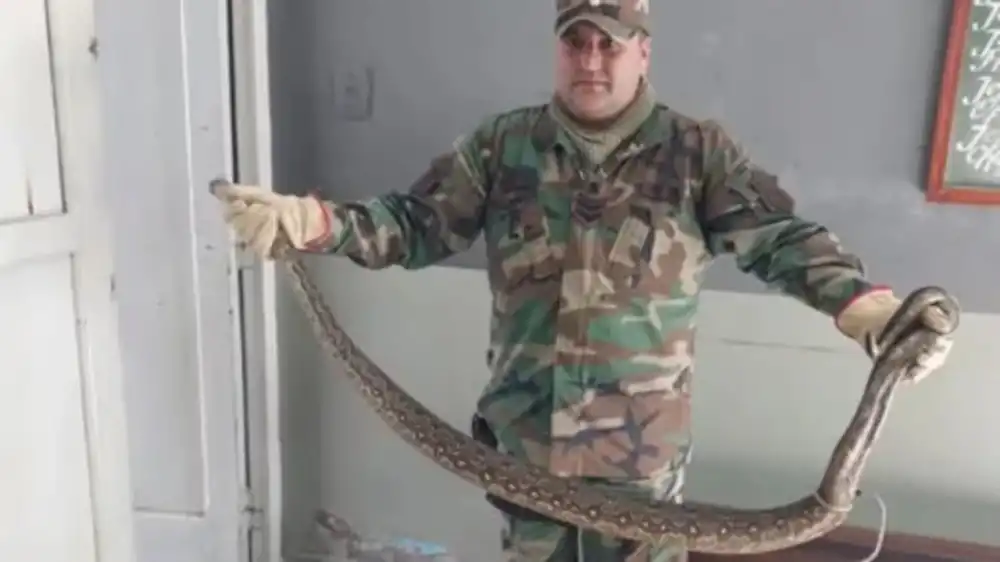 Hombre con uniforme militar camuflado sosteniendo con ambas manos una serpiente de gran tamaño en un interior.