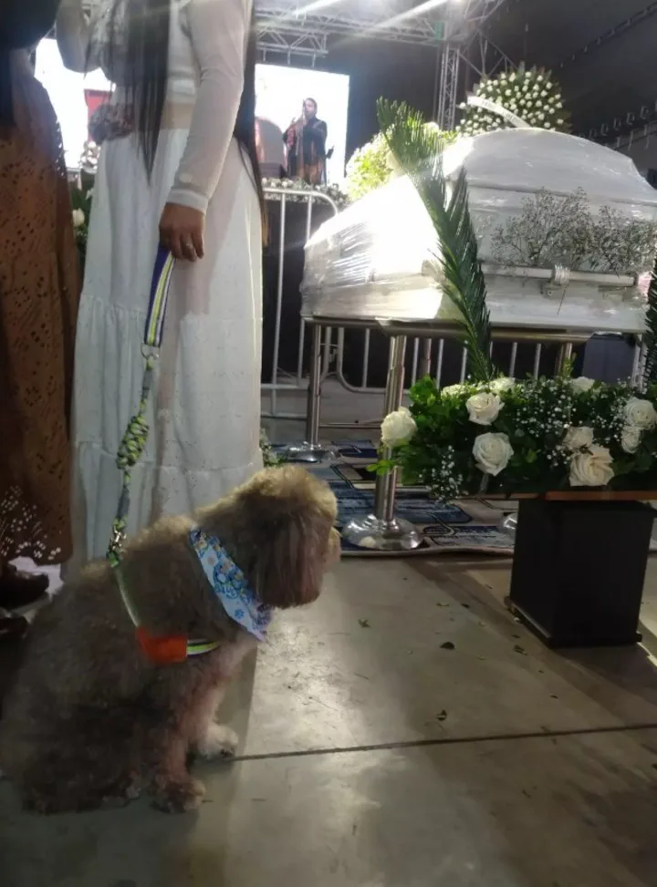 Un perro con correa y pañuelo permanece sentado frente a un féretro blanco decorado con flores.
