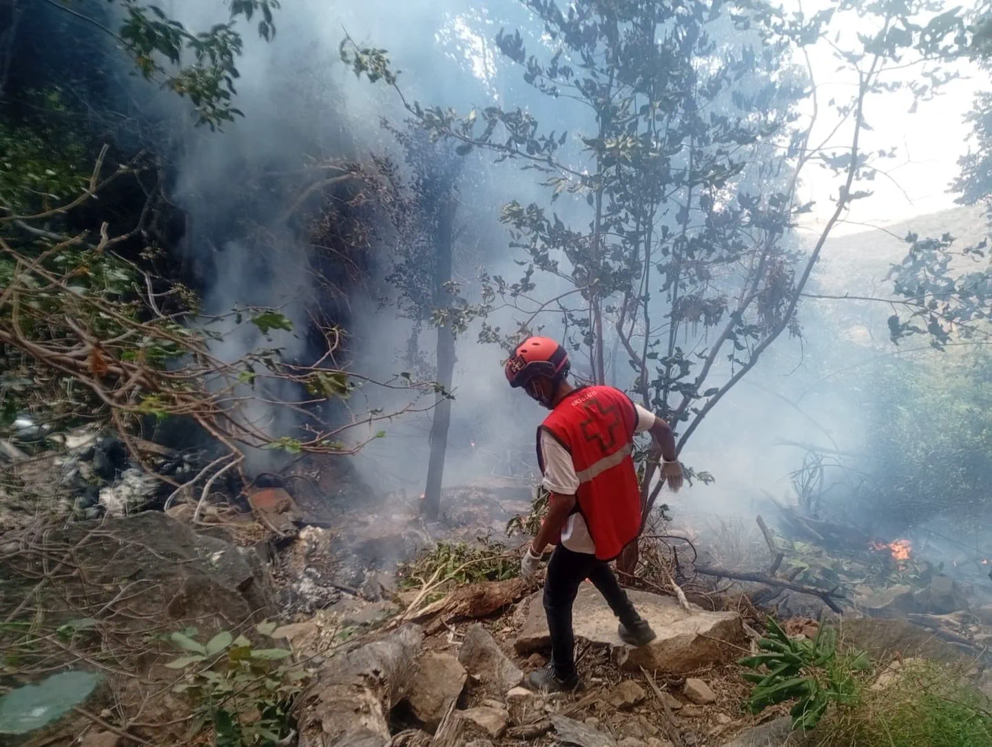 Un brigadista con chaleco rojo y casco camina entre rocas y arboles en una ladera con humo de incendio.