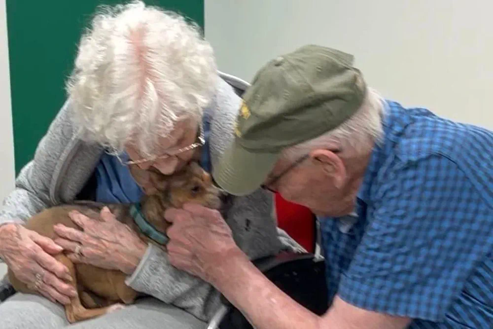 Tiene 90 años y quería un perro para no sentirse sola: adoptó a una chihuahua ciega
