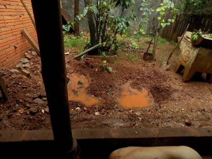 Un patio con tierra removida, charcos de agua rojiza, plantas y una pala apoyada contra una estructura.