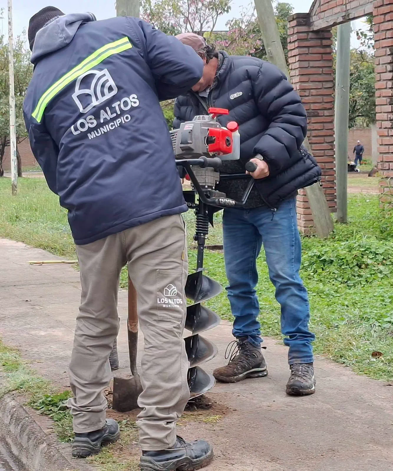 Reforestación Los Altos