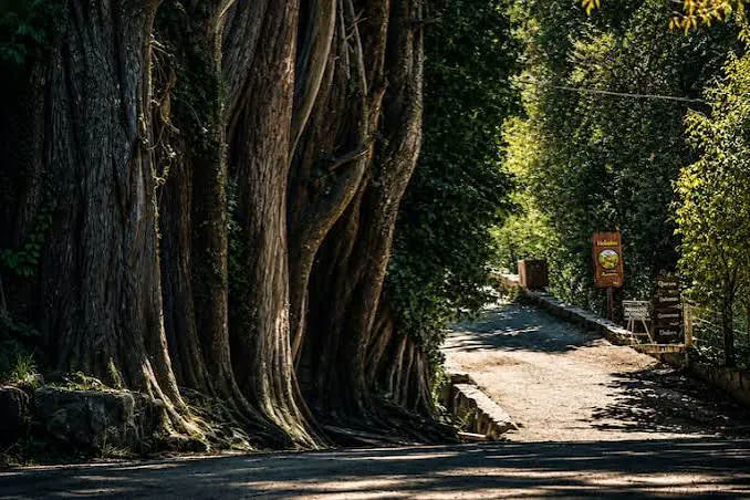 La Cumbrecita es una localidad peatonal: quienes llegan como turistas deben dejar el vehículo en los sectores habilitados y recorrer el casco urbano caminando