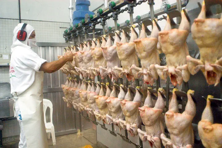 Granja Tres Arroyos ofreció pagar salarios con pollos