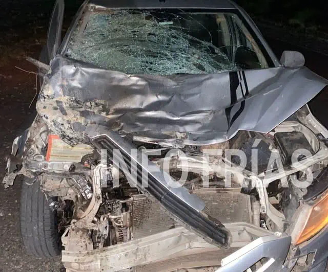 Otra vez los animales sueltos: una pareja resultó herida tras un choque