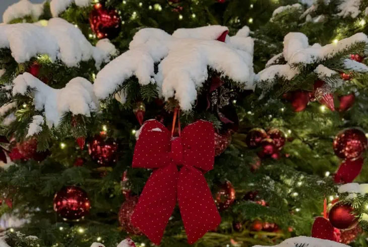 La decoración navideña suma una nueva tendencia para estas fiestas.