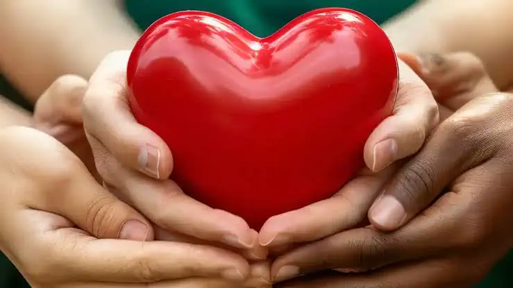 corazón rojo sostenido por muchas manos