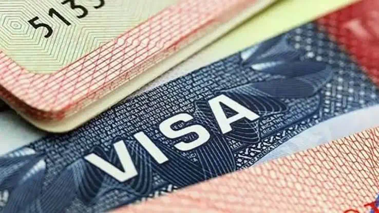 ¿Los argentinos podrán viajar a Estados Unidos sin visa? El nuevo mensaje del embajador Lamelas