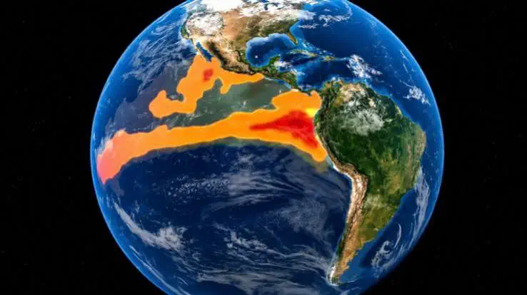 El niño