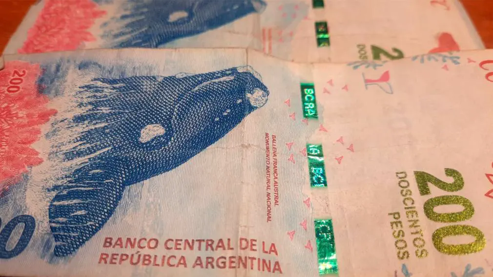 A diez años de su lanzamiento, el billete de $200 de la ballena franca austral ya no compra ni un kilo de pan