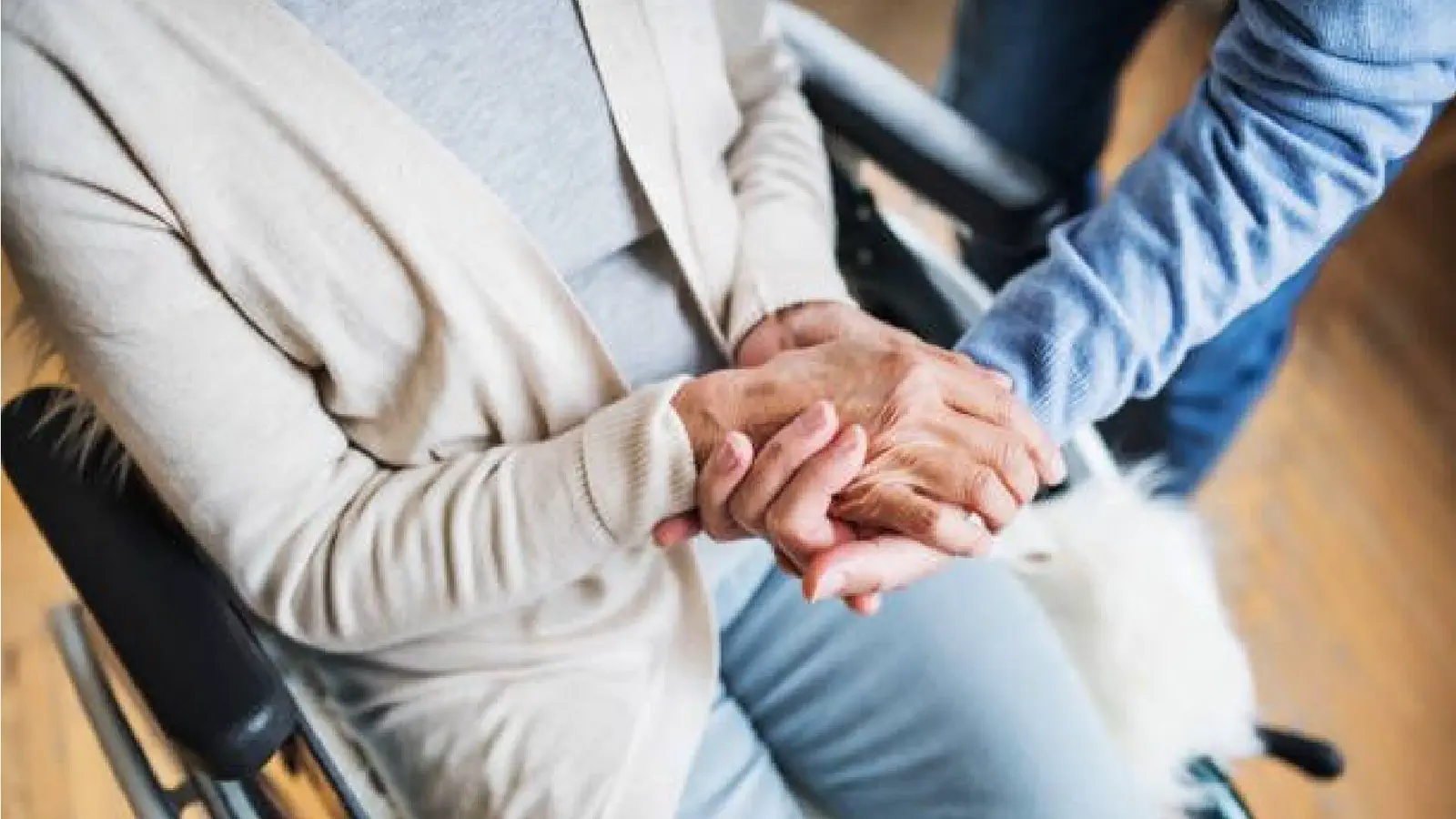 ¿Ajuste silencioso? El Gobierno prevé reducir en miles el padrón de pensiones por discapacidad