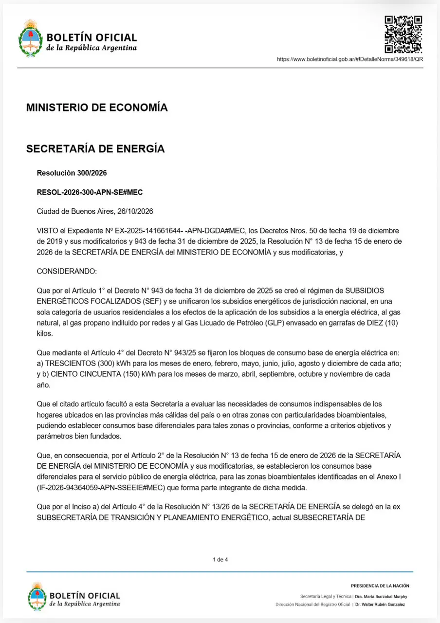 Decreto subsidio de energía norte grande