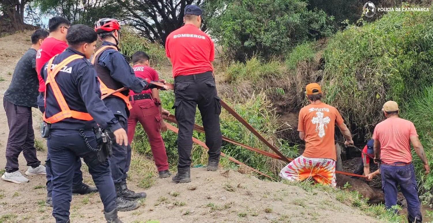 Despliegue en el Arroyo Fariñango: bomberos rescataron a una yegua atrapada en un pozo