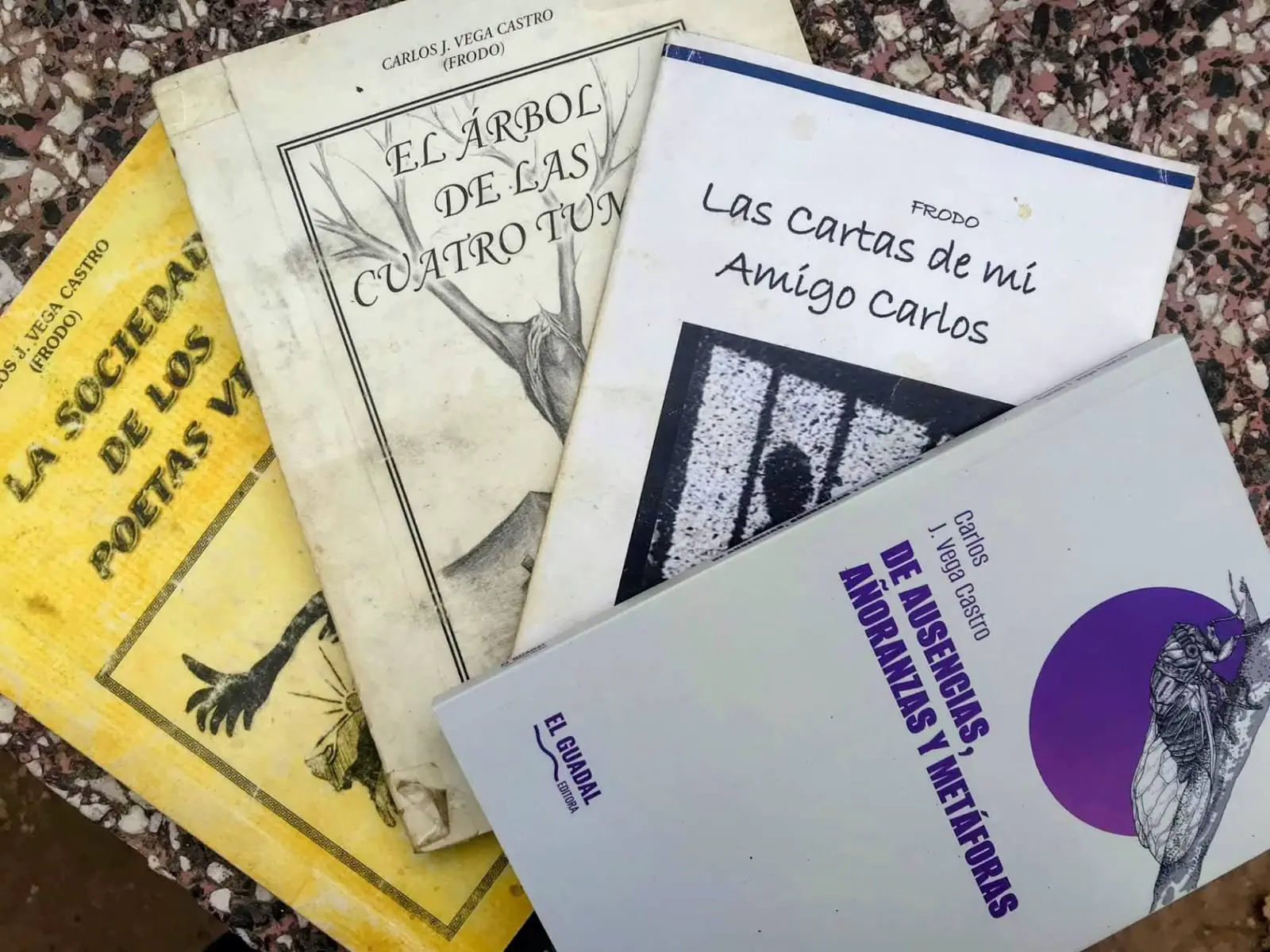 libros escritos por Carlos Vega Castro